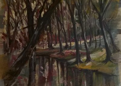 Il bosco nel veronese	 - PAPALE 	SILVIO