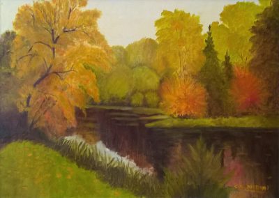 Colori sul fiume	 - COLOMBINI	GILBERTO