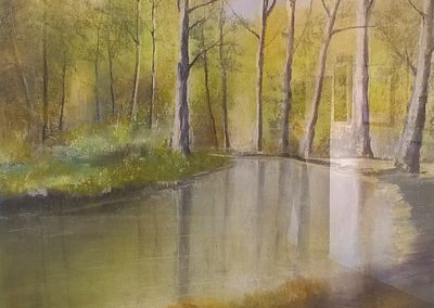 Riflessi di Autunno	 - VOLTA	GIORGIO