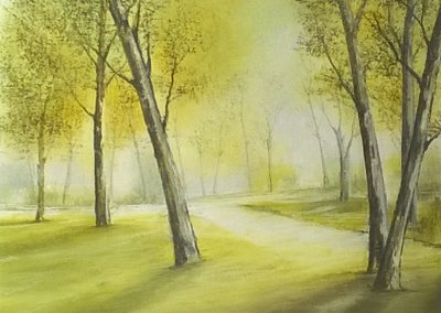 Luci e colori d'autunno - VOLTA	GIORGIO