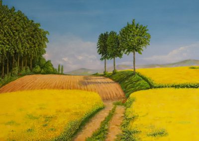 "FIORITURA DELLA COLZA IN COLLINA",  GELATI FABRIZIO - Pittura