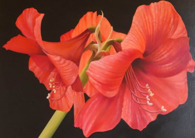 "AMABILI AMARILLI", NEZZI	ROBERTO - Pittura